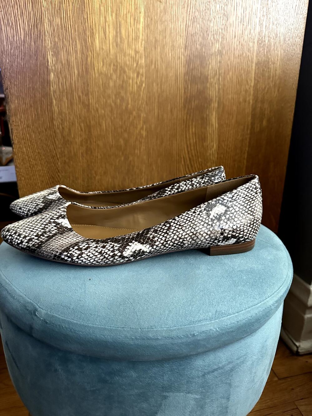 14 & Union Women's Animal Print Pointed Toe Flats | Size 11